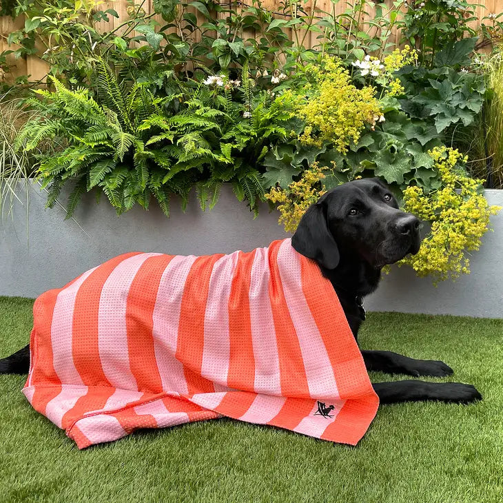 Dock & Bay Dog Towel